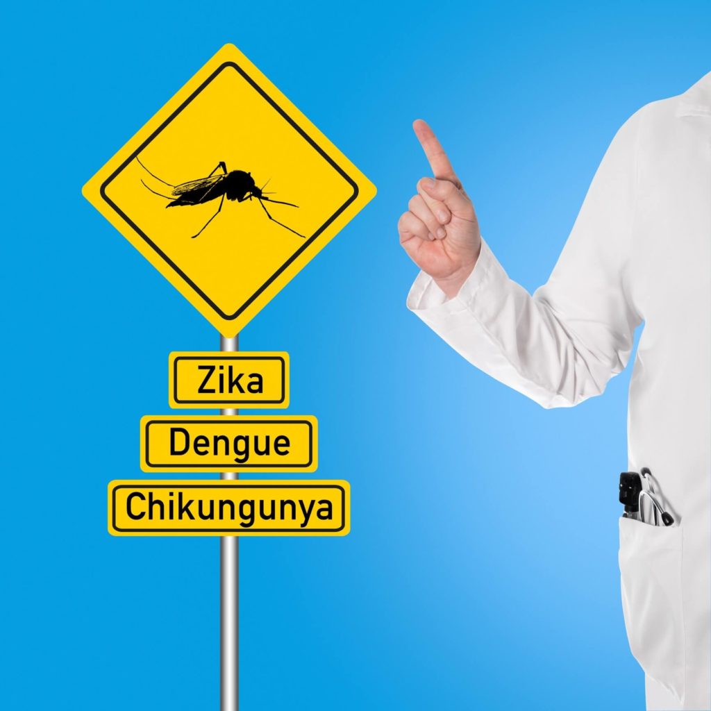 Travelers Guide Chikungunya Dengue And Zika Tick Killz
