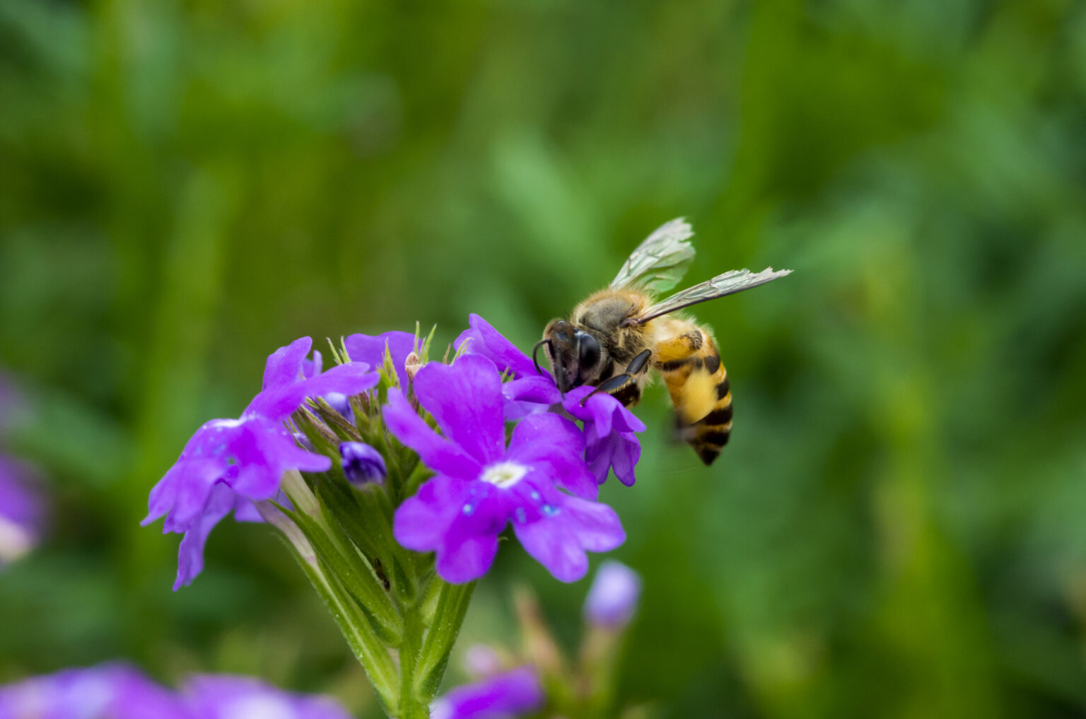 Blog post featured photo