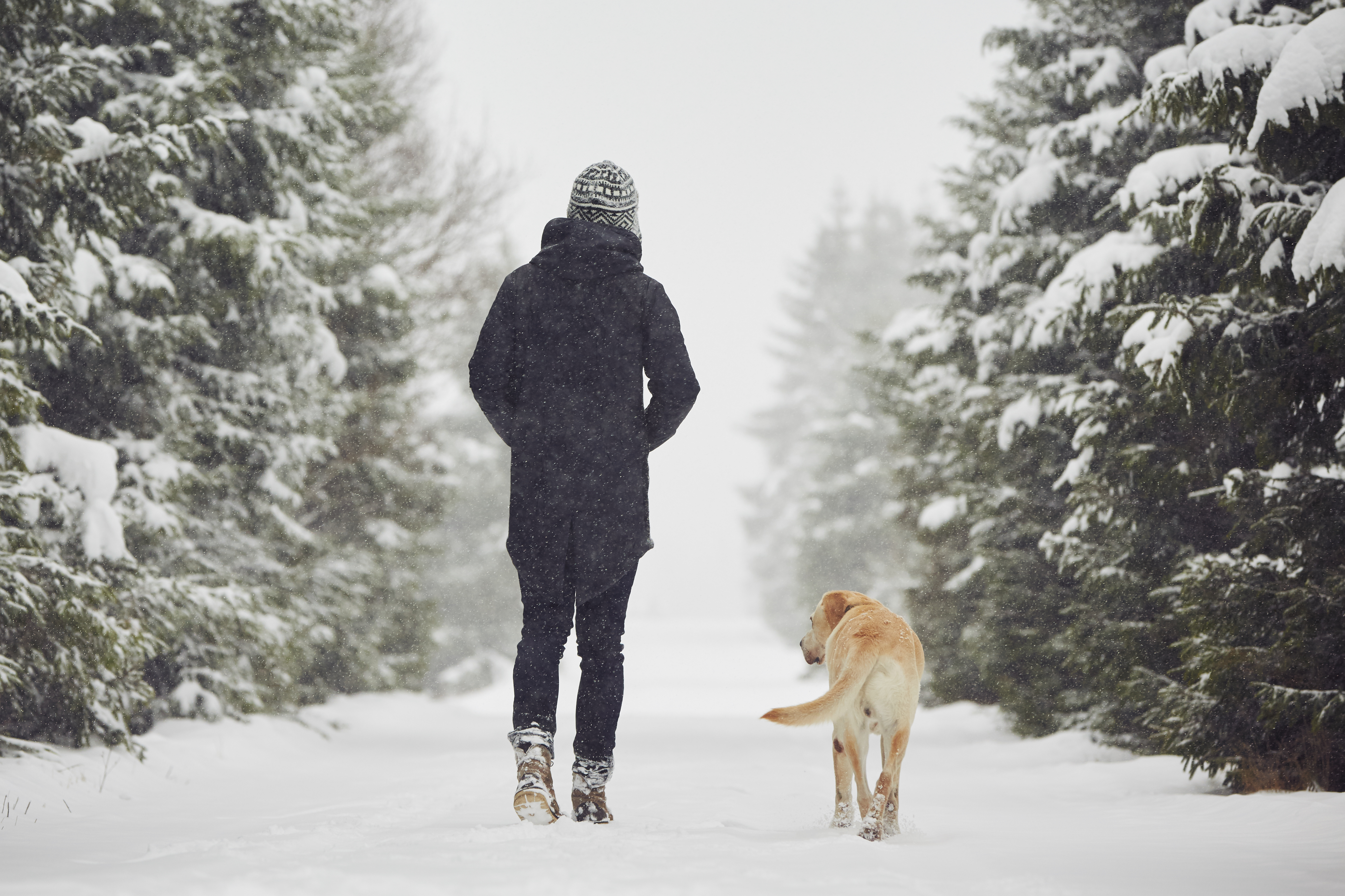Идя рядом с собакой. Люди зимой. Прогулка зимой. Зимняя прогулка с собакой. Люди гуляют зимой.