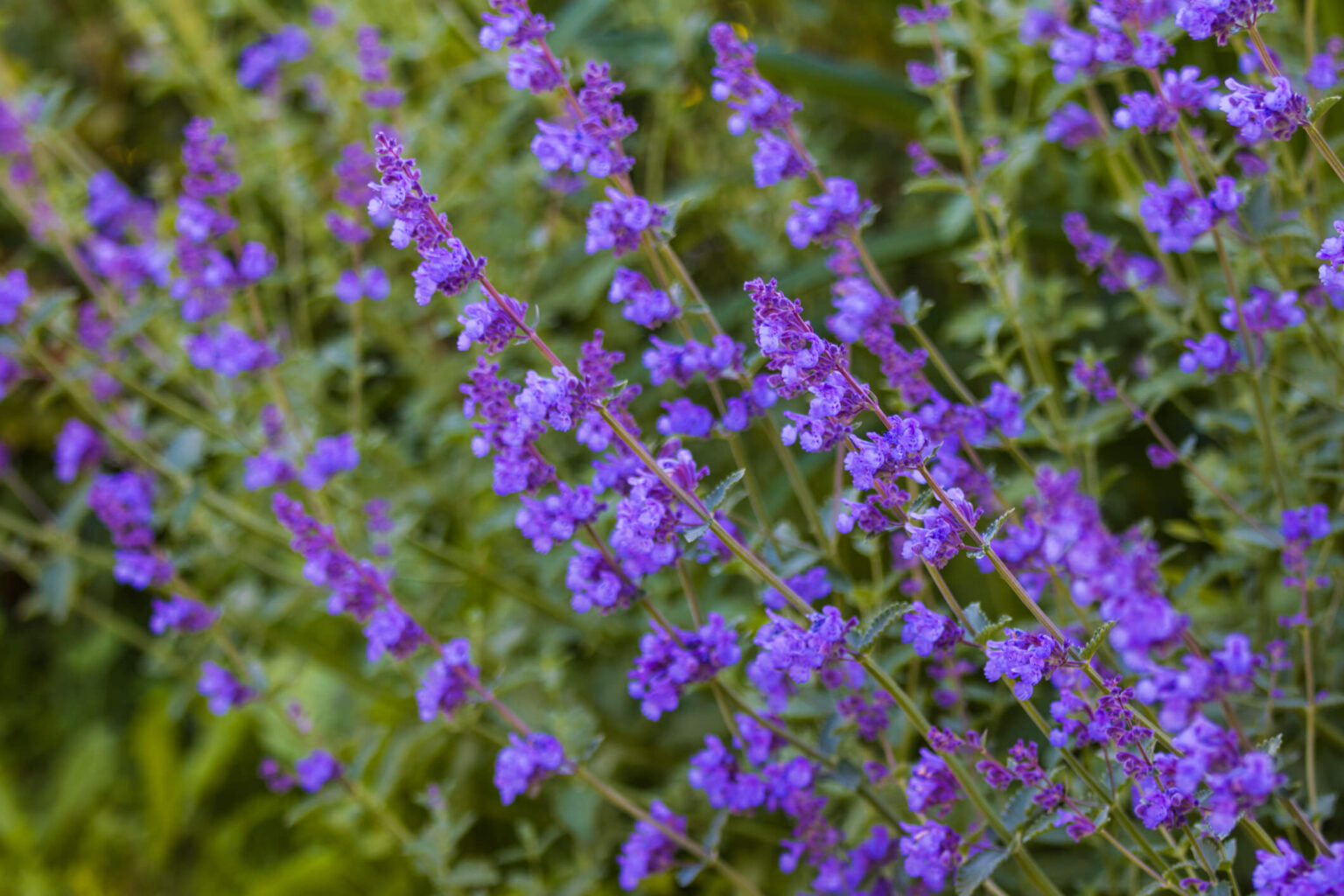 Blog post featured photo