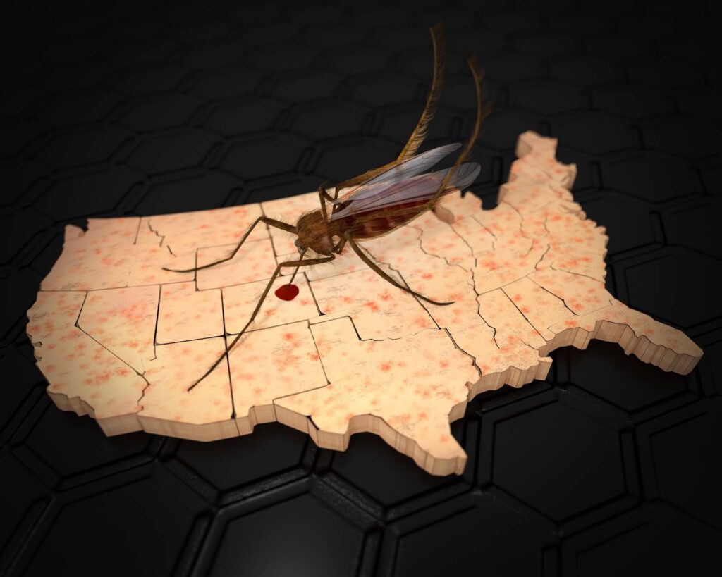 Zika Virus In The United States