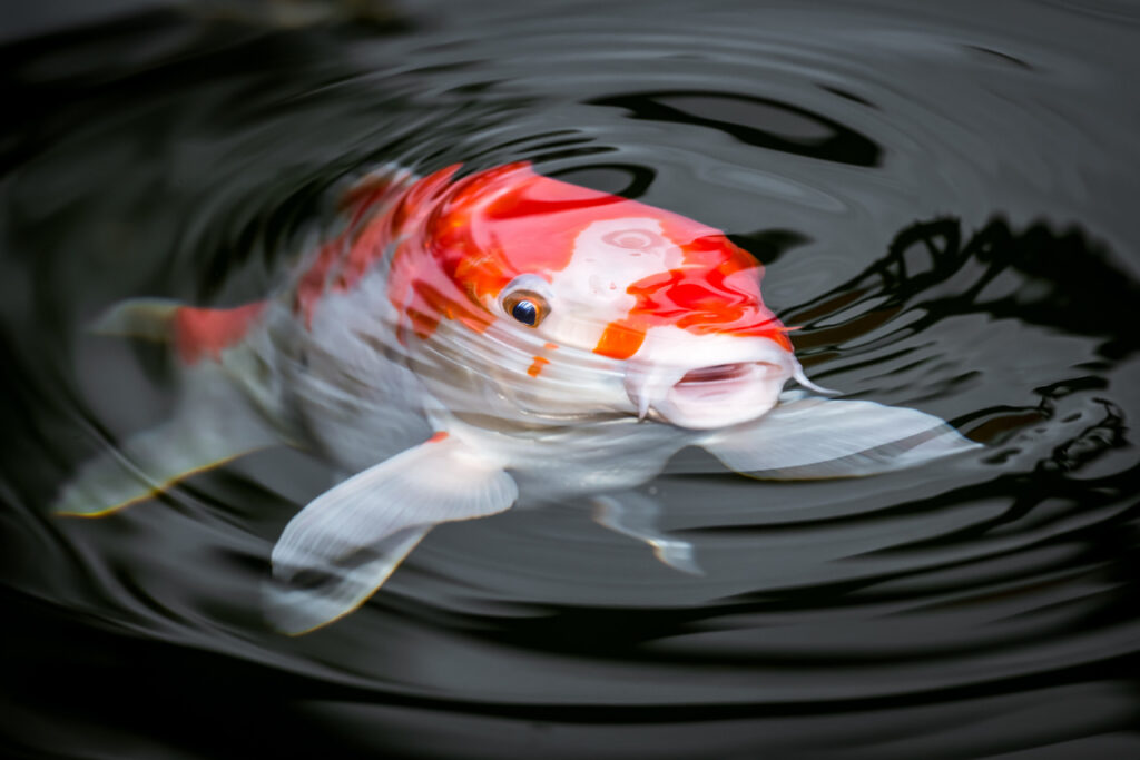 Blog post featured photo