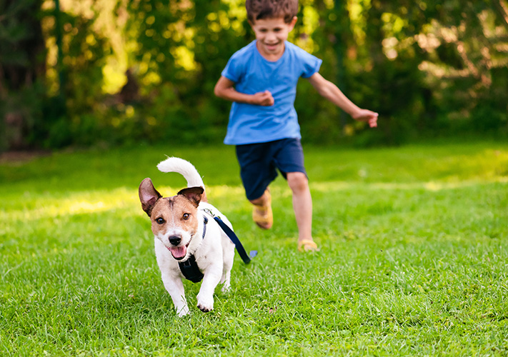 A boy chasing a dog in the yard.