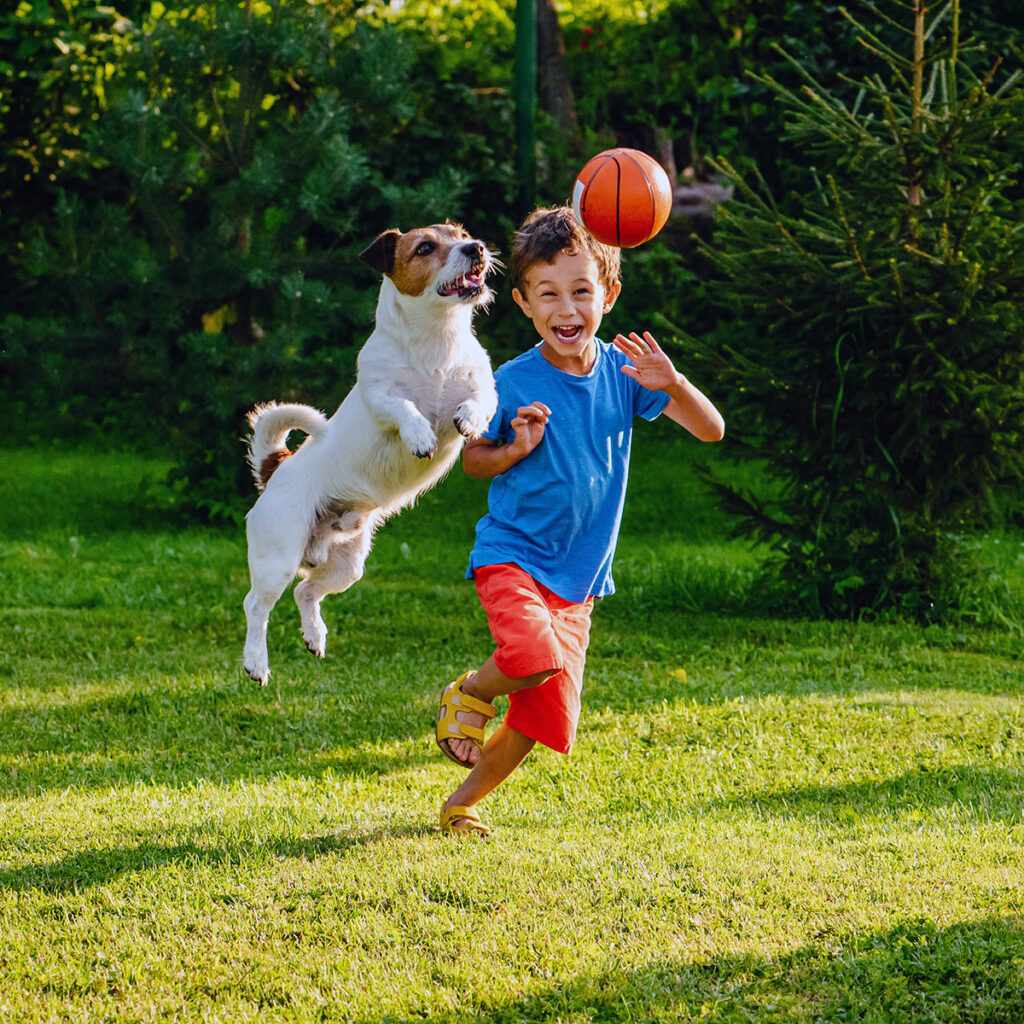 A boy and dog playing with a ball in the yard.