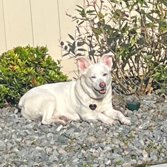Team member Belle